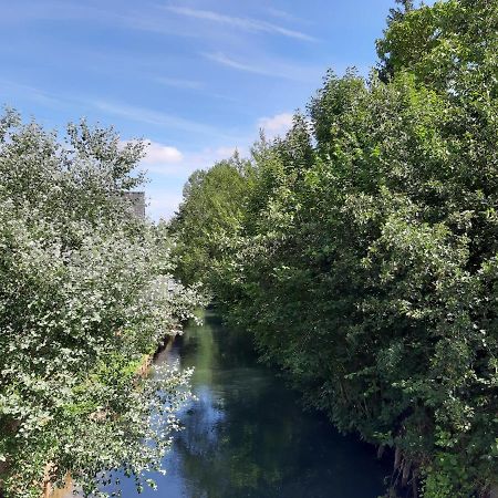 Le Domaine Des Anges Pensionat Wavrans-sur-l'Aa Exteriör bild