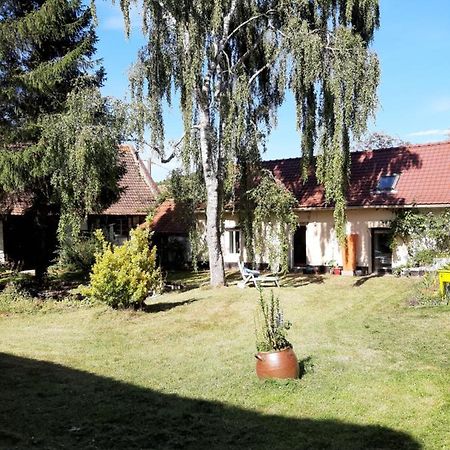 Le Domaine Des Anges Pensionat Wavrans-sur-l'Aa Exteriör bild