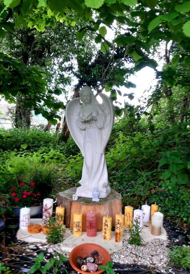 Le Domaine Des Anges Pensionat Wavrans-sur-l'Aa Exteriör bild