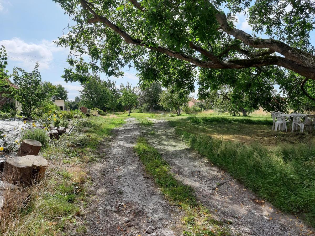 Le Domaine Des Anges Pensionat Wavrans-sur-l'Aa Exteriör bild