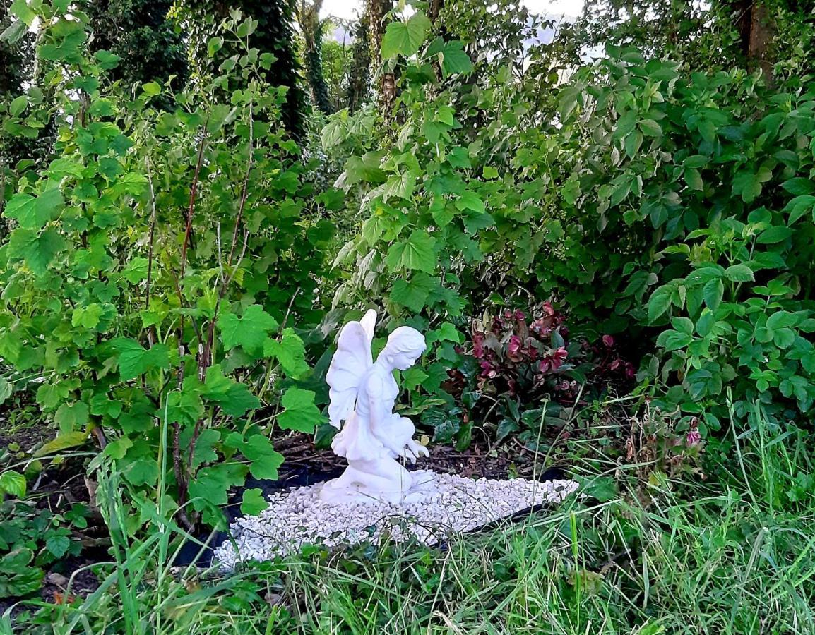 Le Domaine Des Anges Pensionat Wavrans-sur-l'Aa Exteriör bild