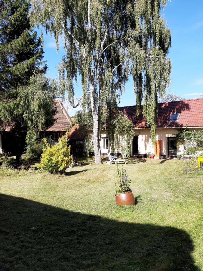 Le Domaine Des Anges Pensionat Wavrans-sur-l'Aa Exteriör bild
